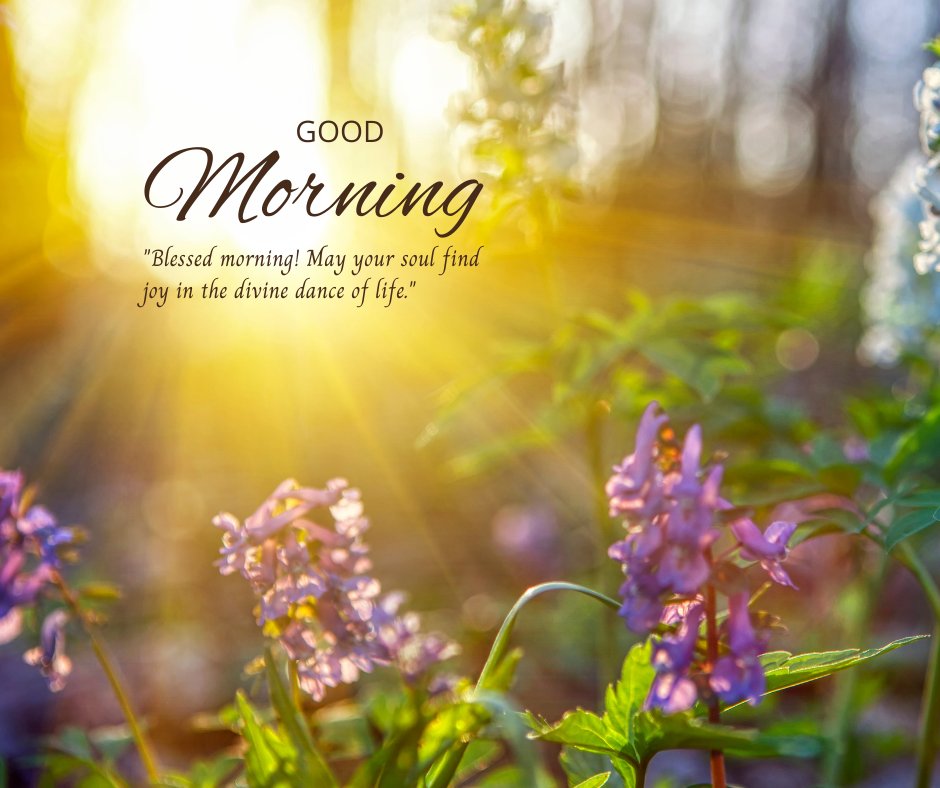 Good morning blessings image featuring early morning sunlight filtering through vibrant wildflowers, accompanied by a warm 'Good Morning' greeting and a quote about finding joy in the divine dance of life.