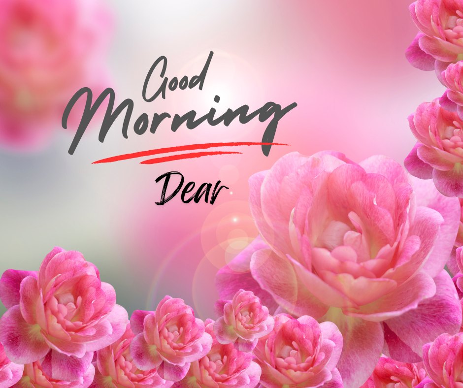 Good morning dear image featuring a close-up of vibrant pink roses with a soft bokeh background and the scripted greeting 'Good Morning Dear' overlaid in stylish script.