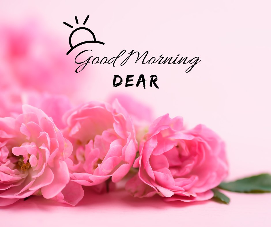 Good morning dear image featuring vibrant pink roses in full bloom on a soft pink background, with 'Good Morning Dear' elegantly scripted above alongside a stylized sunrise icon.