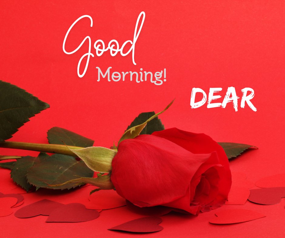 Good morning dear images showcase a vibrant red rose lying against a bold red background with heart-shaped paper cutouts, topped with the words 'Good Morning! DEAR' in white script, radiating love and warmth.