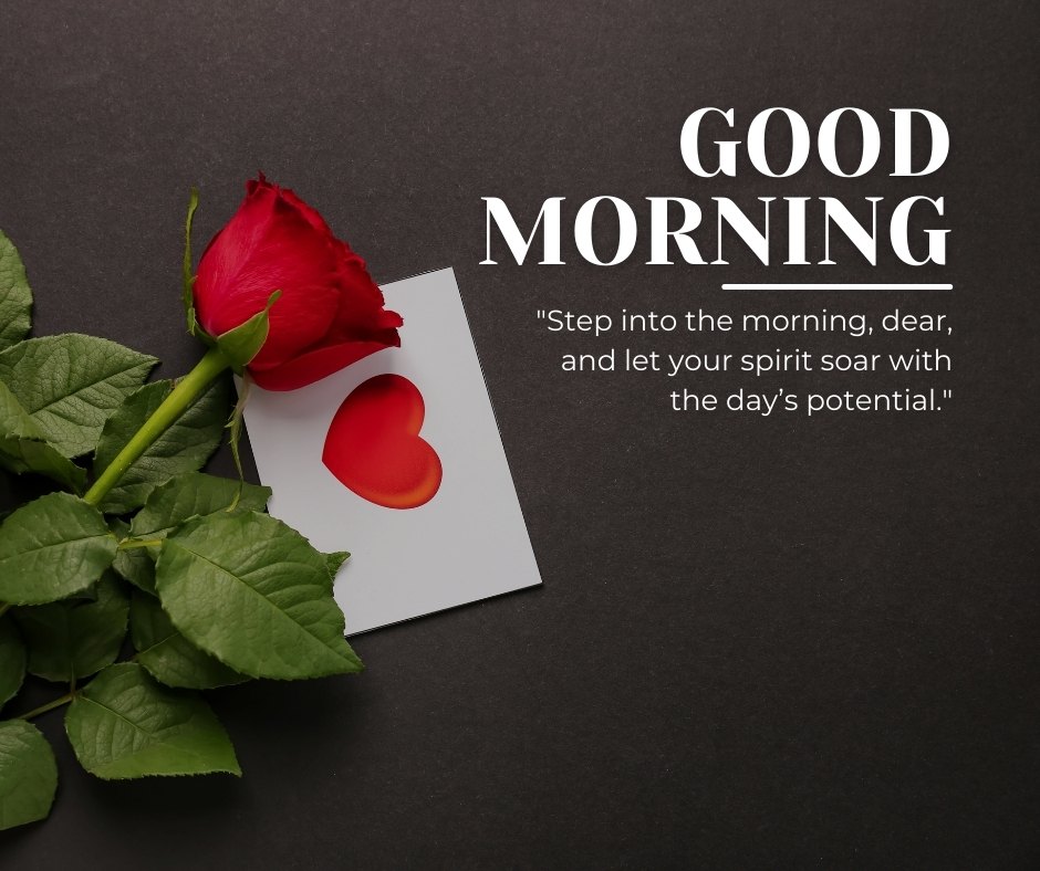 Good morning dear image featuring a vibrant red rose lying across a white card with a heart cutout on a dark background, accompanied by an inspiring message to embrace the potential of the new day.