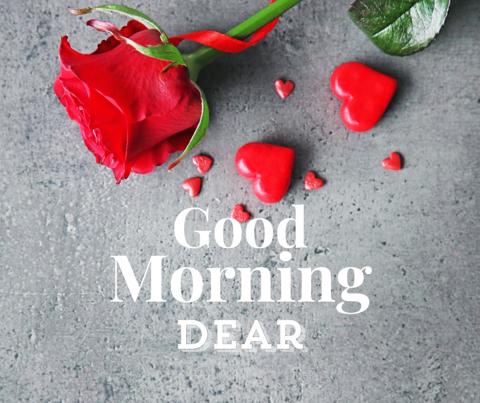 Good morning dear image displaying a single red rose with a ribbon, lying on a textured grey background scattered with small red heart candies and the greeting 'Good Morning Dear' in elegant white script.