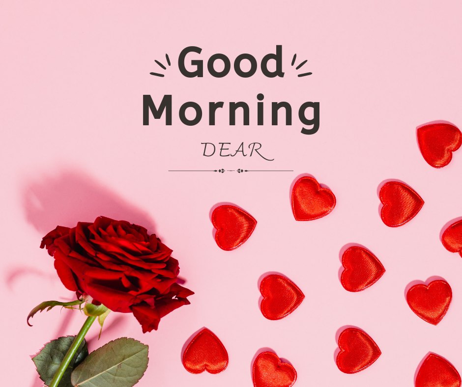 Good morning dear image showcasing a vivid red rose against a pink background, surrounded by red heart-shaped candies, with 'Good Morning DEAR' in bold black script above, creating a loving and cheerful greeting.