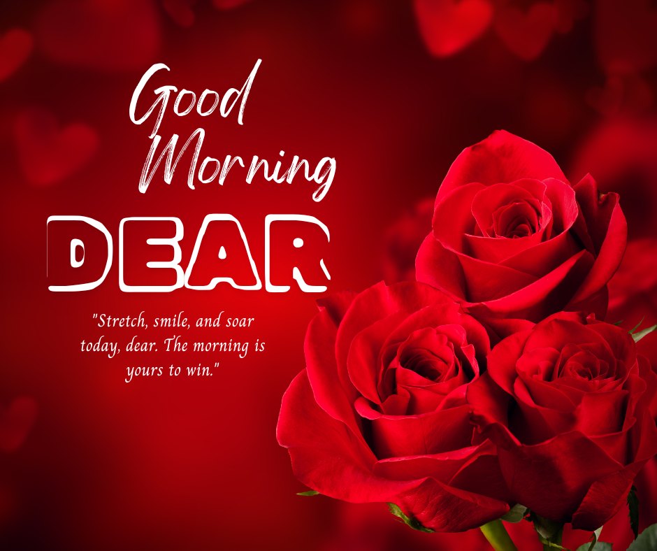 Good morning dear image featuring vibrant red roses in full bloom against a romantic red background, with the message 'Good Morning DEAR' in elegant white script and an inspirational quote beneath.