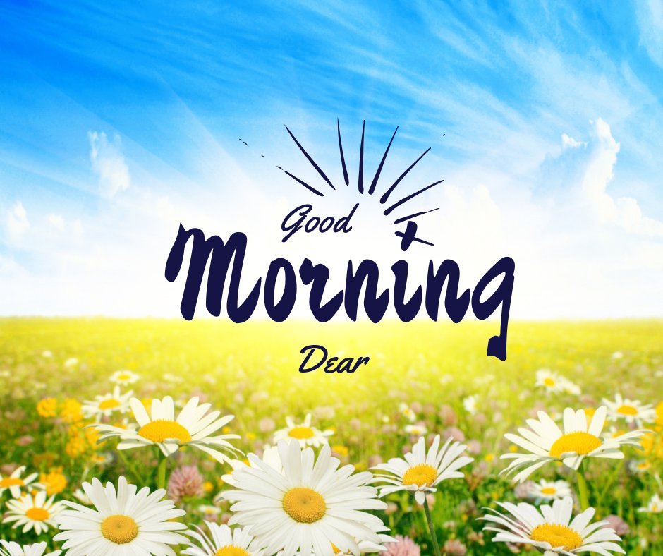 Good morning dear image of a vibrant meadow under a clear blue sky, featuring white daisies and yellow wildflowers bathed in sunlight, creating a cheerful and refreshing morning scene.