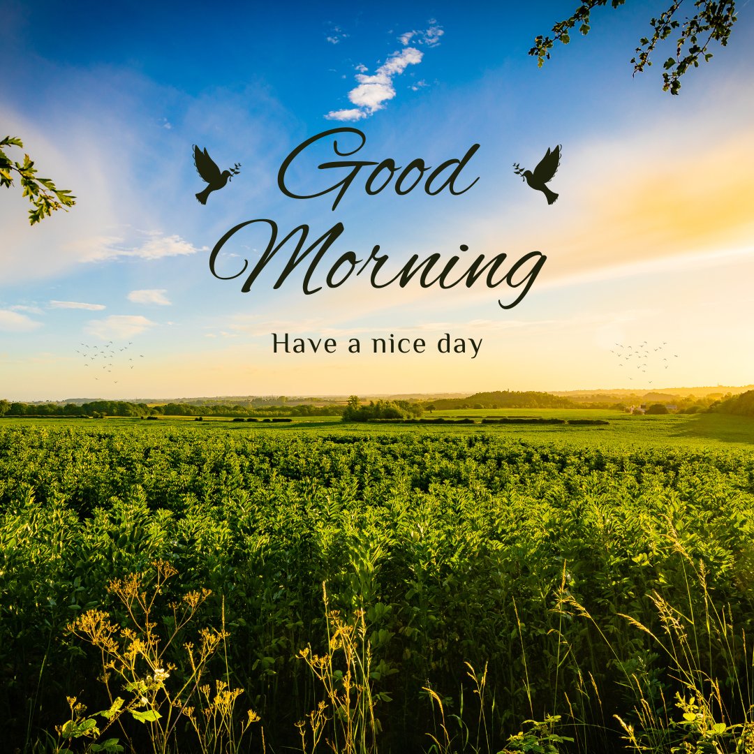 A vibrant morning landscape featuring a lush green field under a bright blue sky with scattered clouds. The text "Good Morning" and "Have a Nice Day" is written in elegant script, accompanied by two silhouettes of birds in flight. Perfect for good morning images to share.