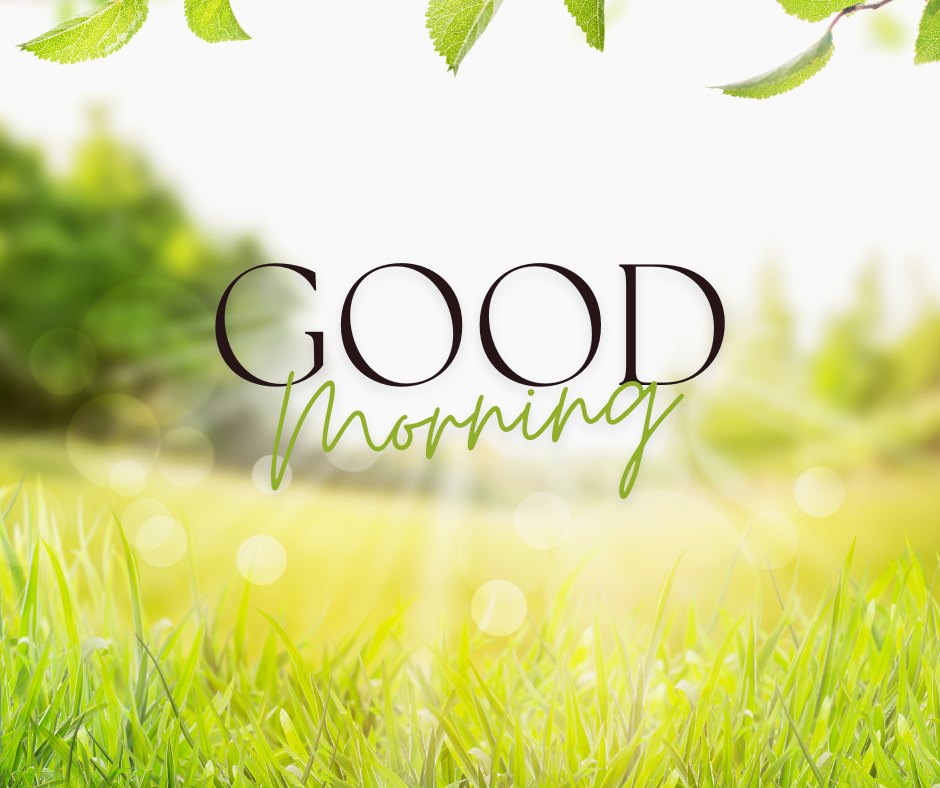 Good morning nature image featuring lush green grass with morning dew under a fresh, sunny backdrop, complemented by the elegant 'Good Morning' text framed by hanging leaves.