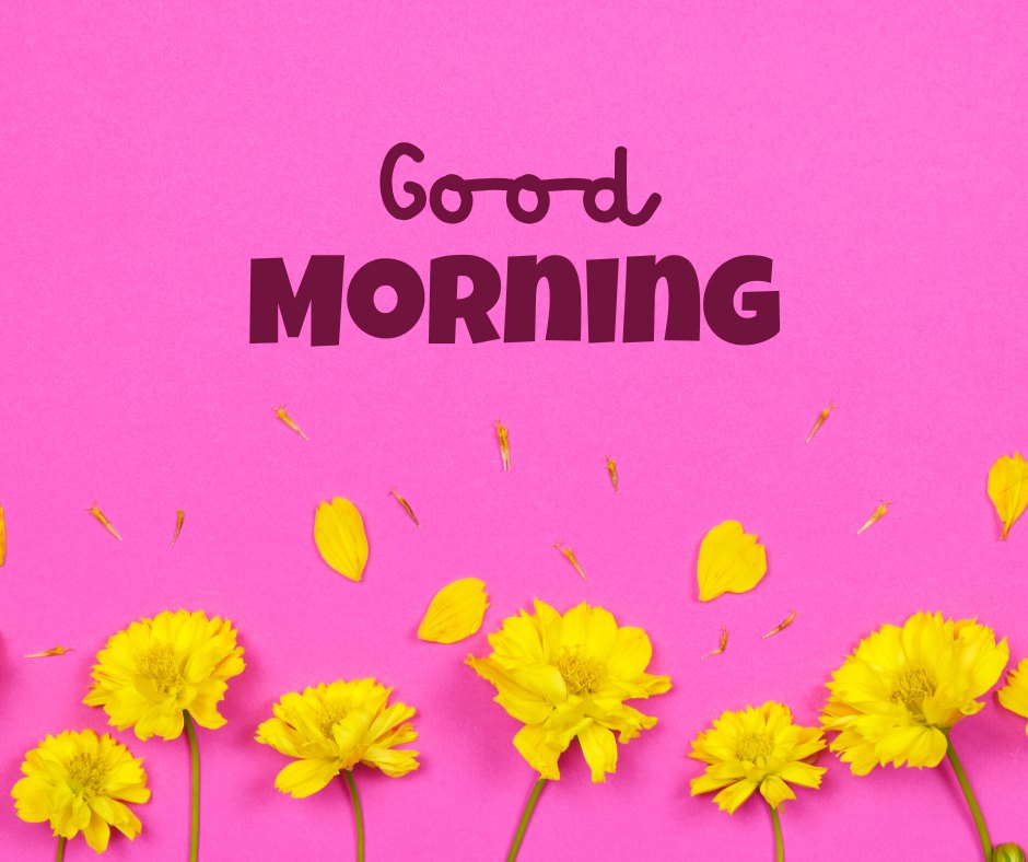 Good morning nature image of vibrant yellow flowers scattered on a striking pink background, with 'Good Morning' text in bold dark letters.