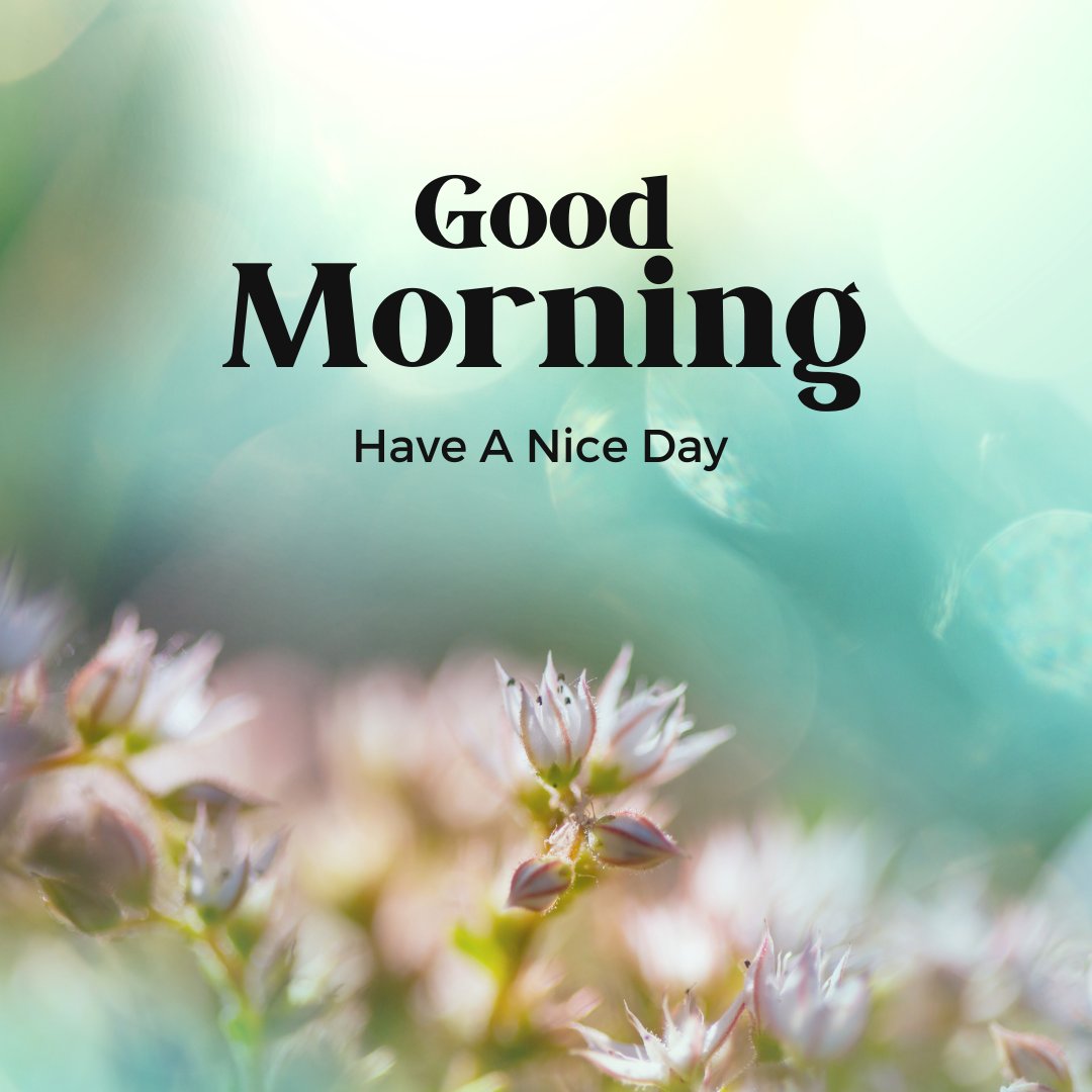 A blurred background of soft pastel colors and flowers with the text "Good Morning" in bold black font and "Have A Nice Day" in smaller black font underneath. The light in the image gives a serene and peaceful feel, perfect for good morning have a nice day images.