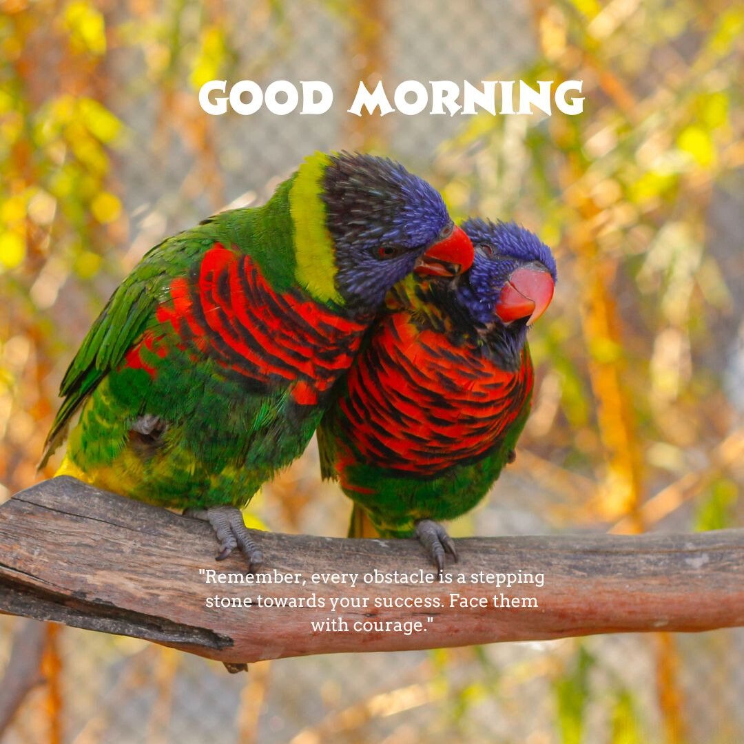 Good Morning Bird Image featuring two colorful parrots with green, red, and blue feathers perched on a branch, with the text 'Good Morning' and a motivational quote.