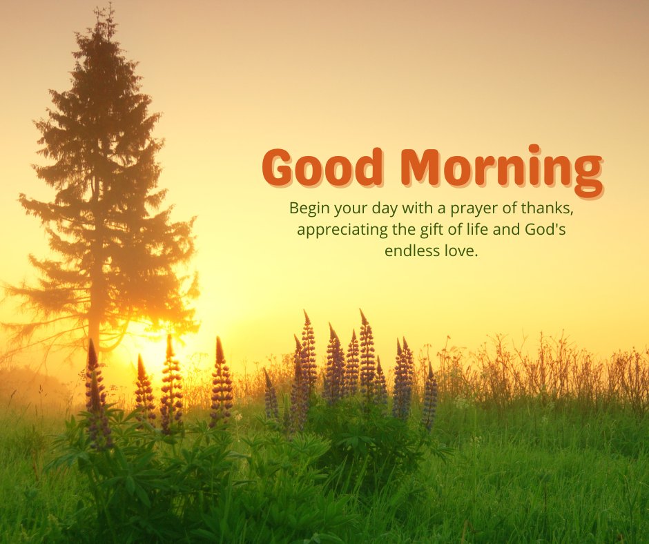 Gratitude-focused spiritual good morning messages with a sunrise, tree, and lupine flowers, featuring the text: "Good Morning. Begin your day with a prayer of thanks, appreciating the gift of life and God's endless love."