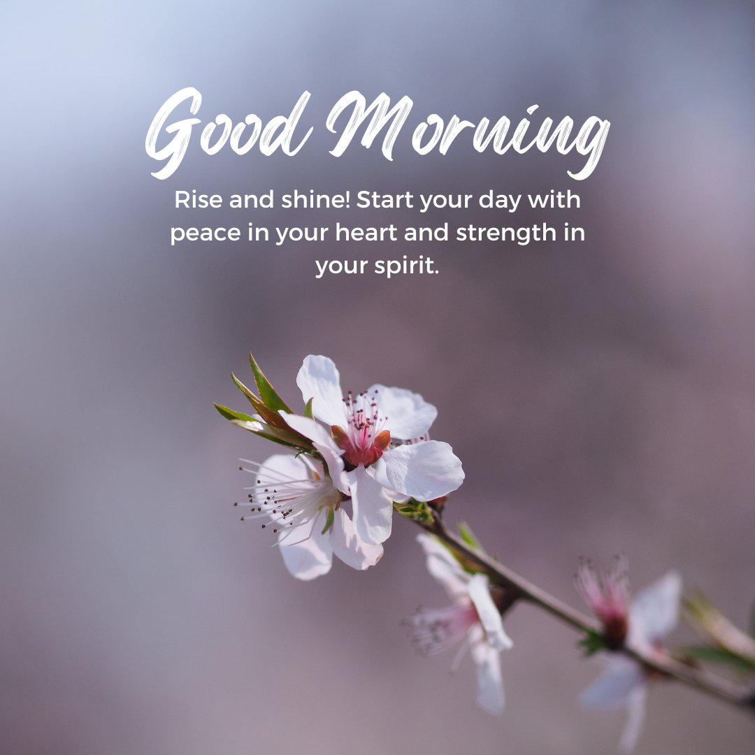 Inspirational Spiritual Good Morning Messages with a white flower and motivational text: "Good Morning. Rise and shine! Start your day with peace in your heart and strength in your spirit."