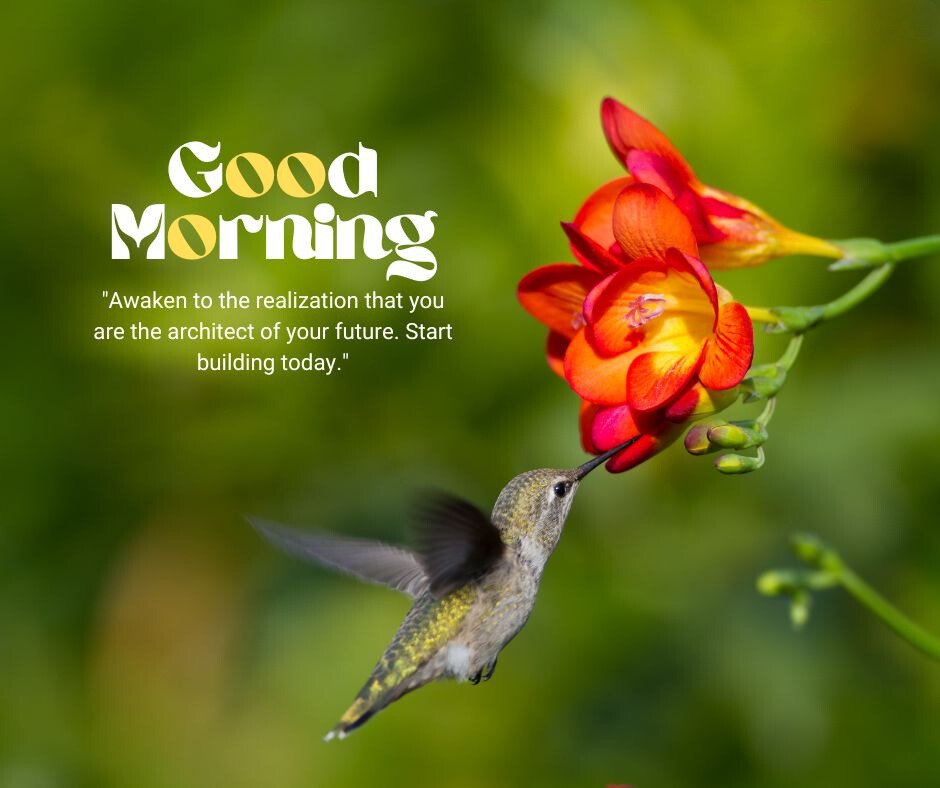 Good morning bird image featuring a hummingbird drinking nectar from vibrant red and yellow flowers, accompanied by the text 'Good Morning. Awaken to the realization that you are the architect of your future. Start building today.'