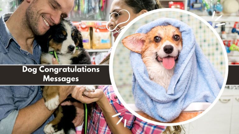 Dog Congratulations Messages