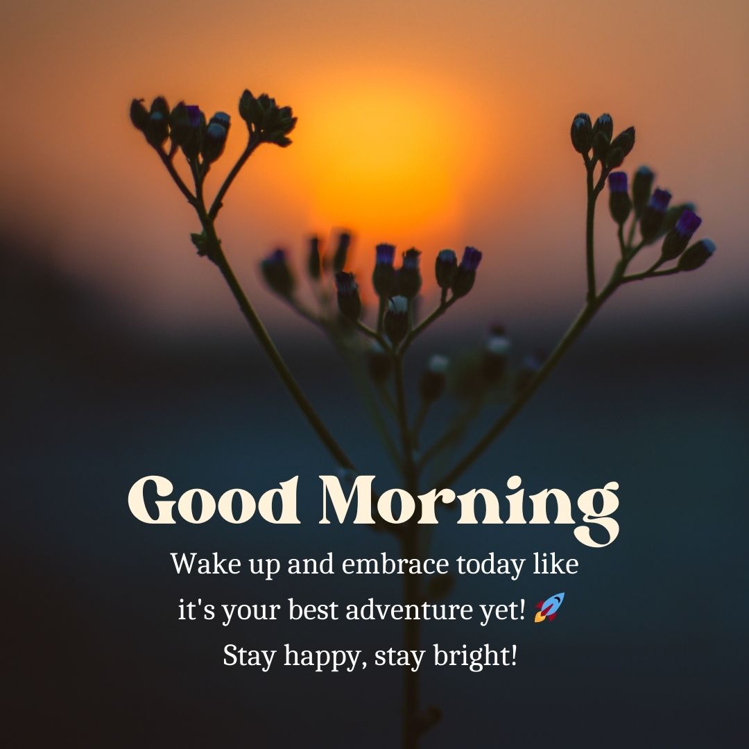 Heartfelt Good Morning Messages for WhatsApp