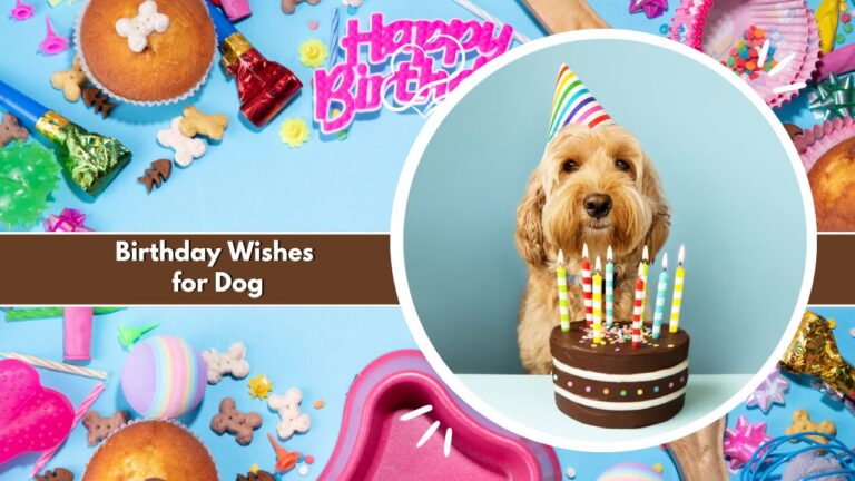 Birthday Wishes for Dog