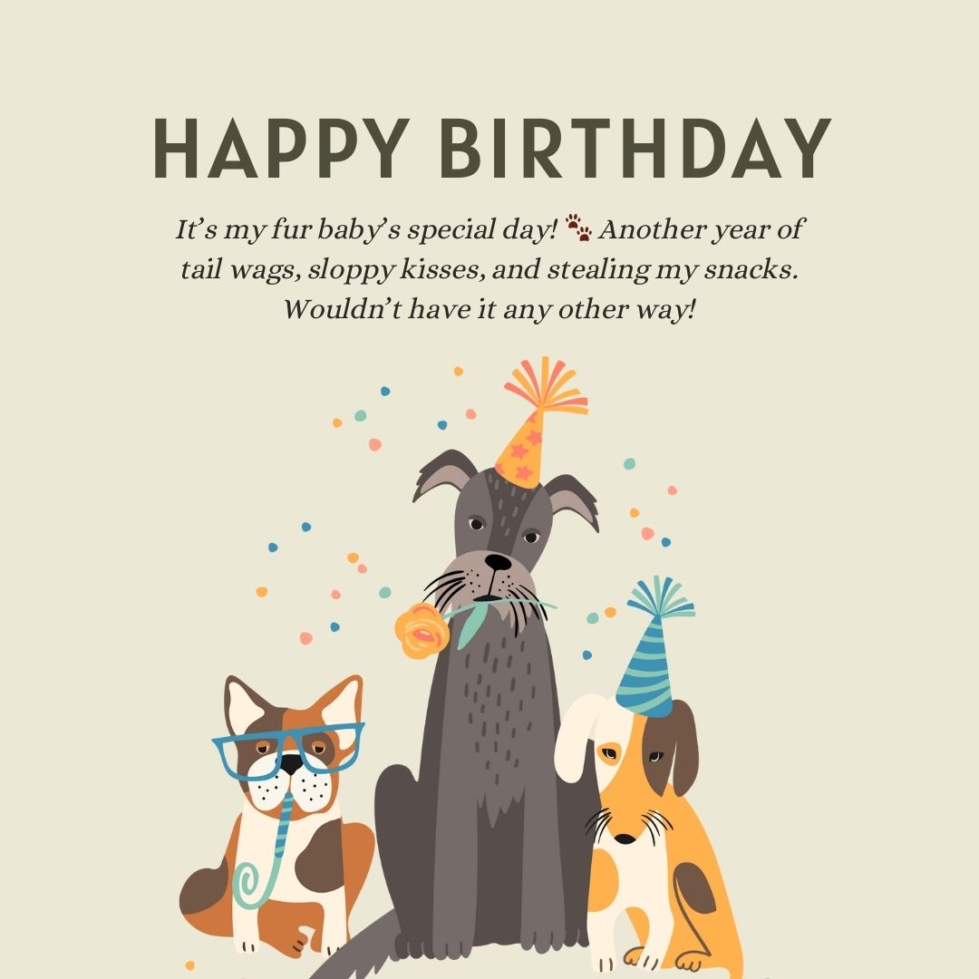 Creative Birthday Wishes for Dog to Share on Social Media