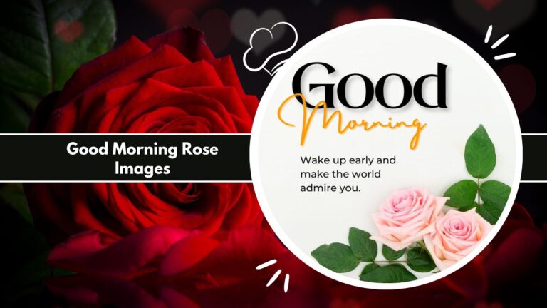 Good Morning Rose Images