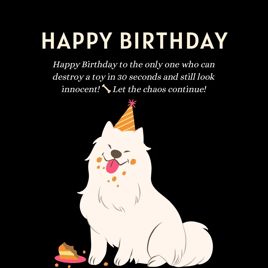 Playful Birthday Wishes for Dog