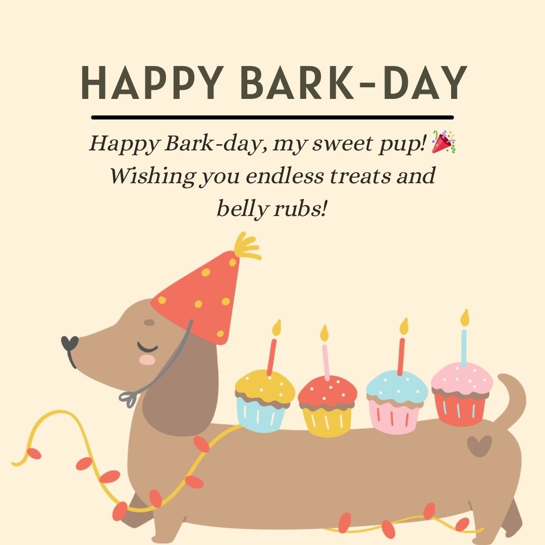 Short and Sweet Birthday Wishes for Dog